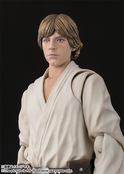 ルーク・スカイウォーカー（A NEW HOPE）（再販版） S.H.Figuarts 塗装