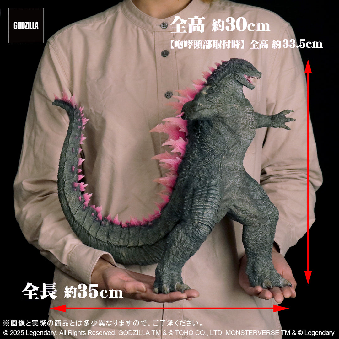 東宝大怪獣シリーズ GODZILLA (2024) EVOLVED Ver. FROM GODZILLA × KONG: THE NEW EMPIRE