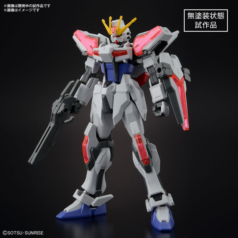 ビルドストライク エクシードギャラクシー ガンプラ 全塗装 完成品