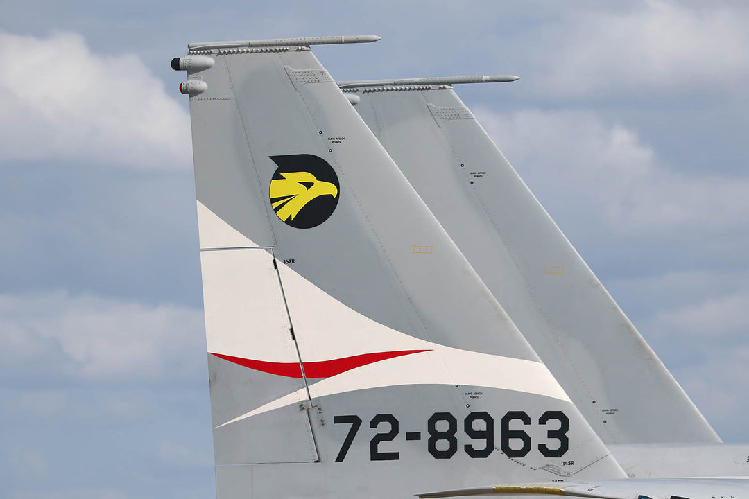 1/72 航空自衛隊 F-15J イーグル 第306飛行隊 日伊共同訓練 2023 特別塗装機