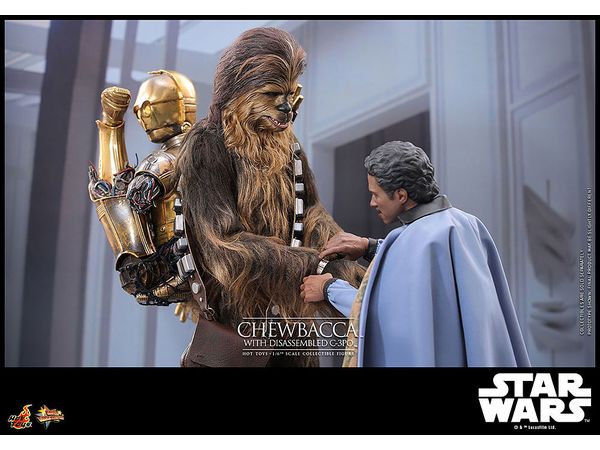 ムービー・マスターピース チューバッカ＆C-3PO（分解） 1/6スケール