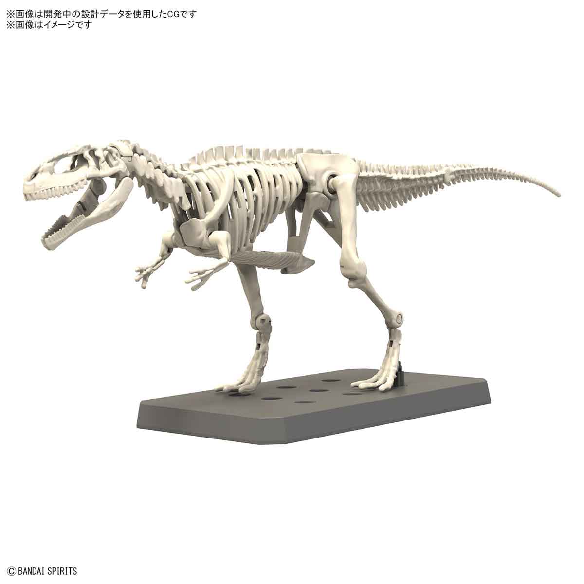 プラノサウルス ギガノトサウルス – SOOTANG