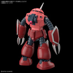 HG 1/144 ズゴック(SEED FREEDOM Ver.)