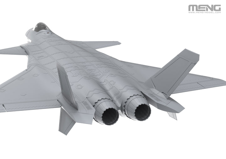 1/48 LS-002 J-20 ステルス戦闘機