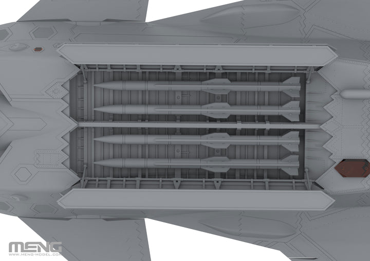 1/48 LS-002 J-20 ステルス戦闘機