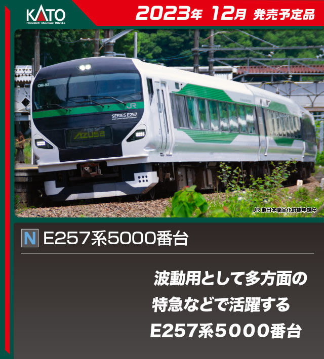 10-1883 E257系5000番台　9両セット