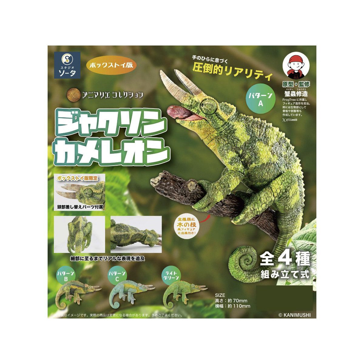 BOX販売]アニマリエコレクション ジャクソンカメレオン -4個入りBOX- – SOOTANG HOBBY