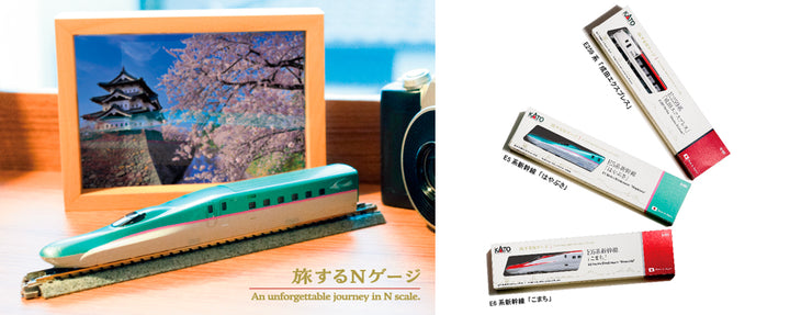 12-001 旅するNゲージ E259系「成田エクスプレス」