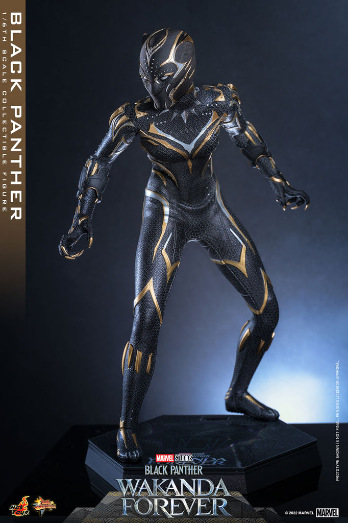 HotToys(ホットトイズ) 『ブラックパンサー／ワカンダ・フォーエバー 