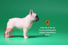 MR.Z 003 1/6 フレンチブルドッグ グレーホワイト フィギュア – SOOTANG