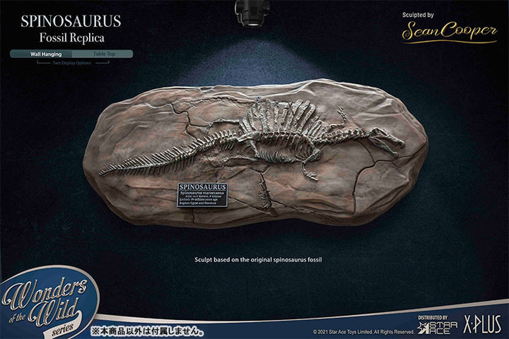 ワンダーズ オブ ザ ワイルド スピノサウルス 化石レプリカ